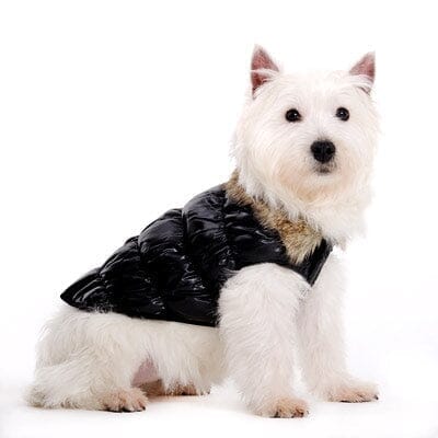 Coats by DOGO DOGO Ruched Bubble Jacket (Black) XSmall 