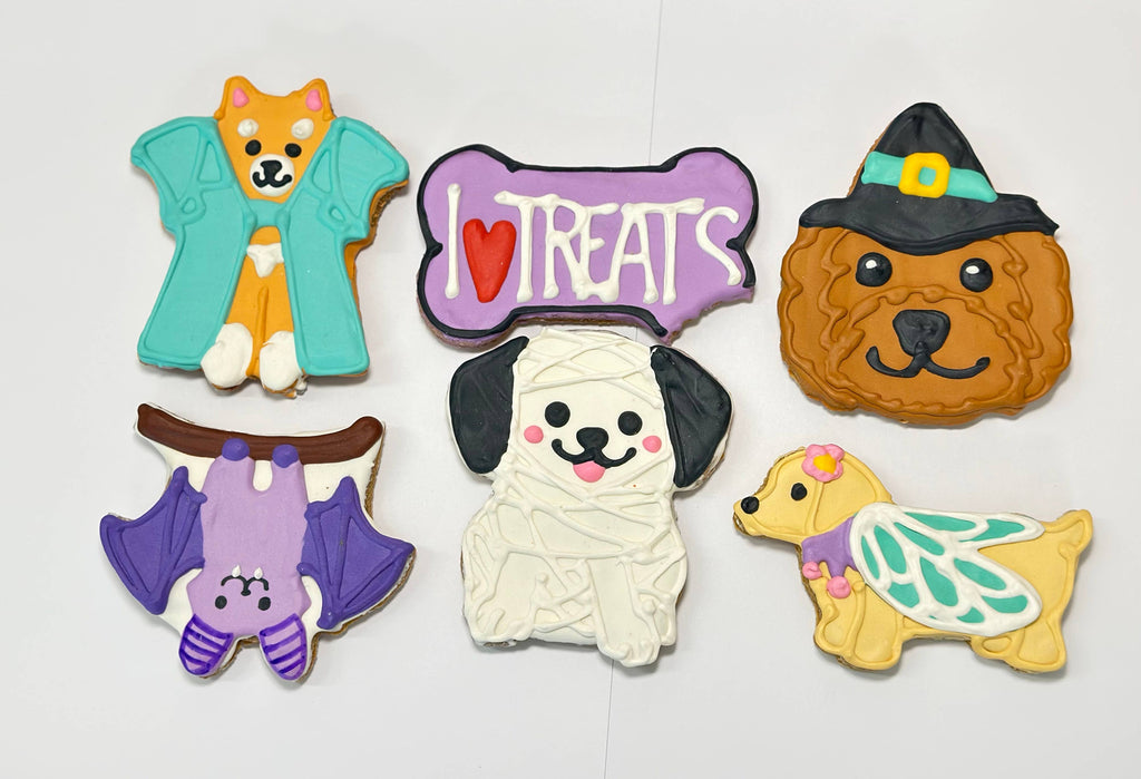 Snail | Lucky Biscuit Treat Lucky Biscuit Pet Bakery 