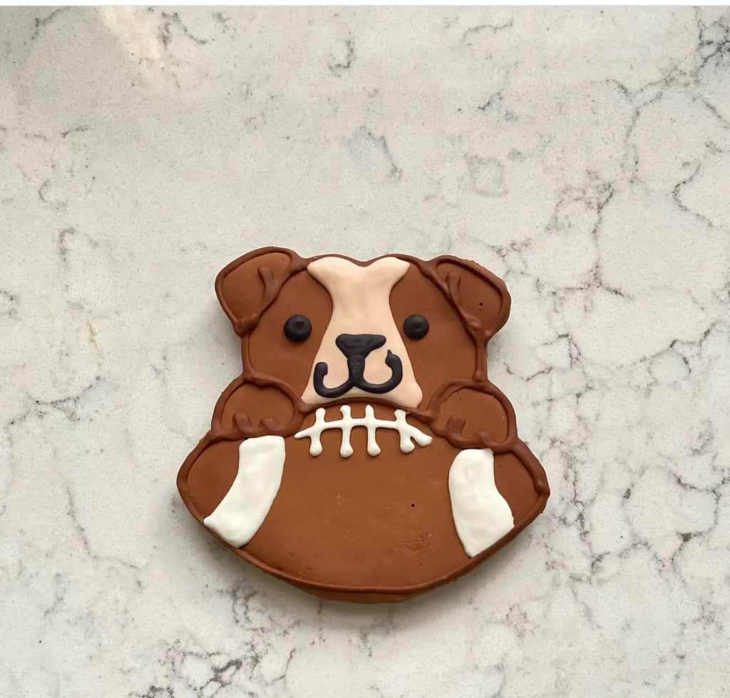 10 Years Strong | Lucky Biscuit Treat Lucky Biscuit Pet Bakery 
