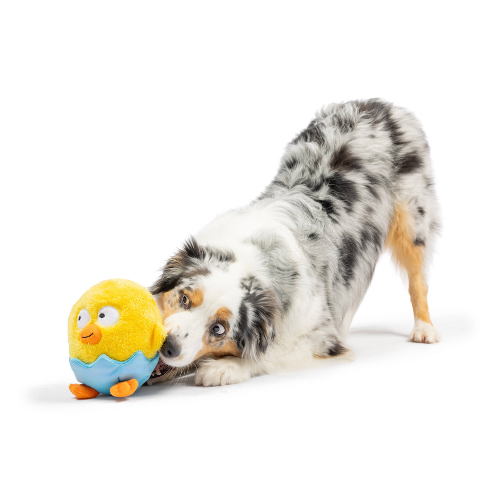 Huxley & Kent | Chick-A-Dee: Lg Toy Huxley & Kent 