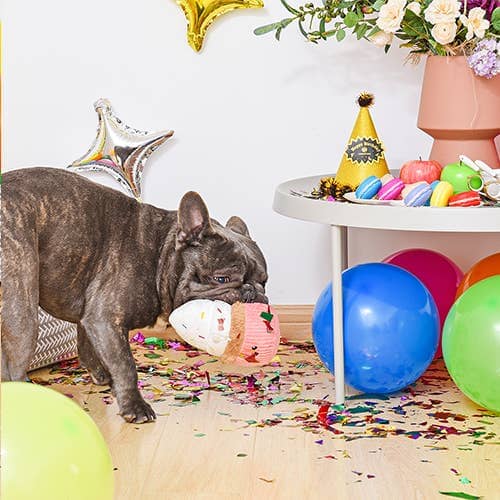 Cupcake - Dog Plush Toy Dog Toys Hugsmart Products Inc 