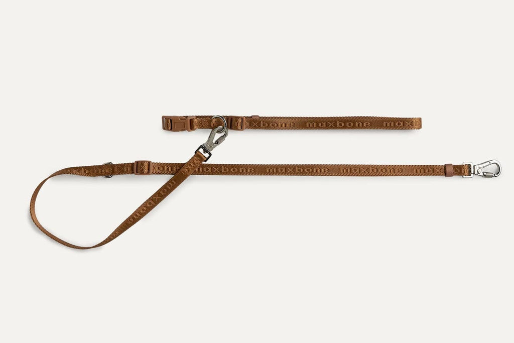 Mini GO! Hands-Free Leash: Black maxbone 