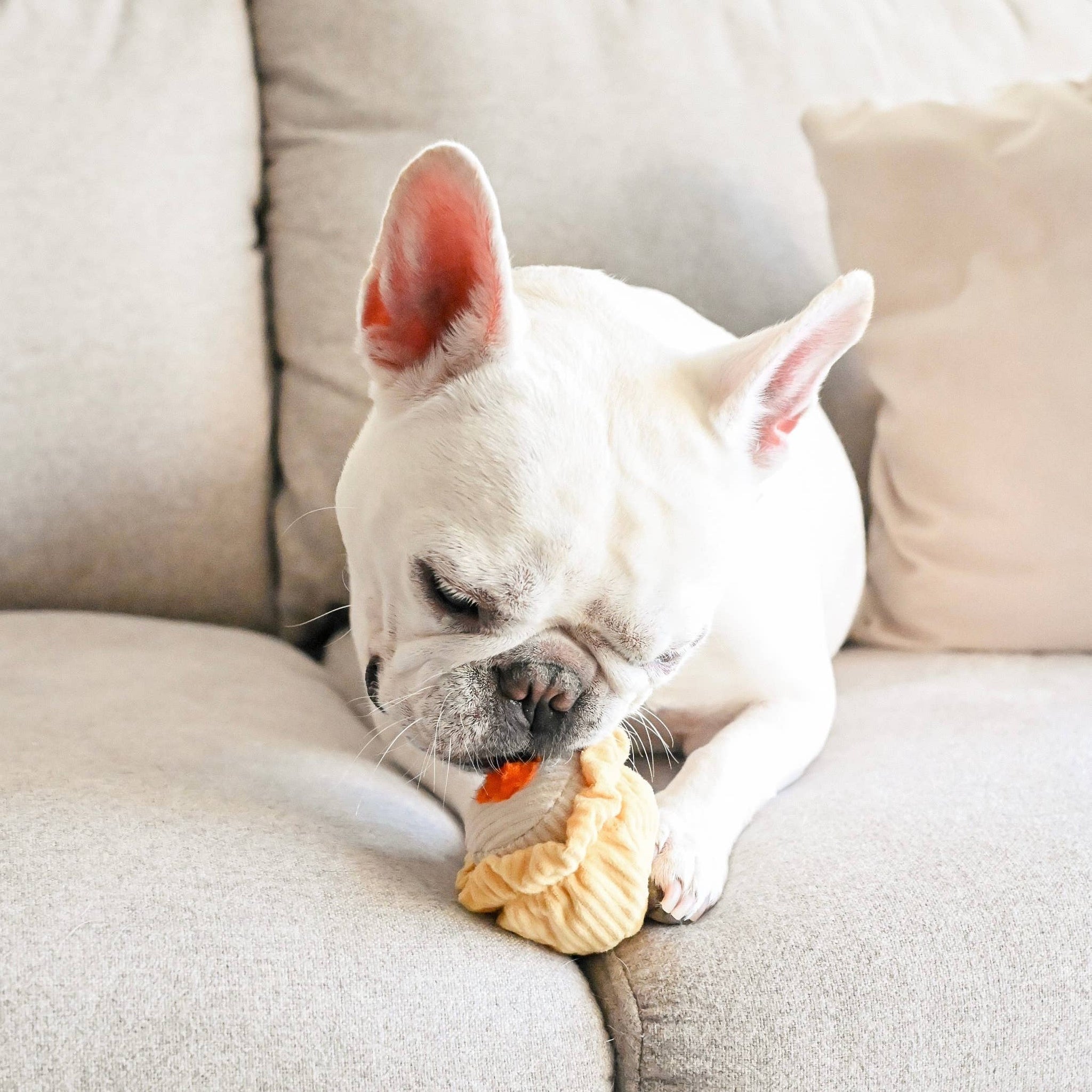 DIM SUM POP DOG TOY Lambwolf Collective - Main Image