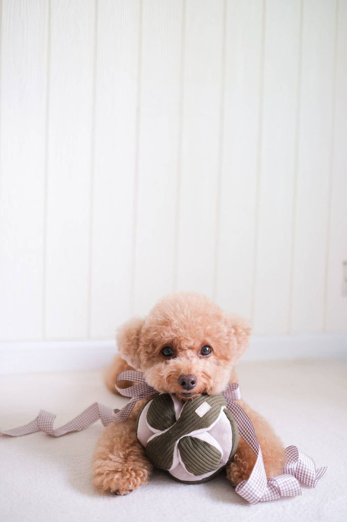 MONTI Enrichment Toy | Lambwolf Collective Dog Toys Lambwolf Collective 