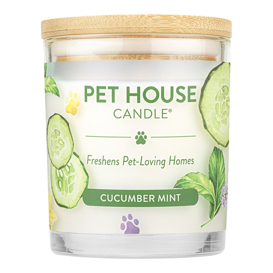 Pet House Candle Pet House Cucumber Mint 