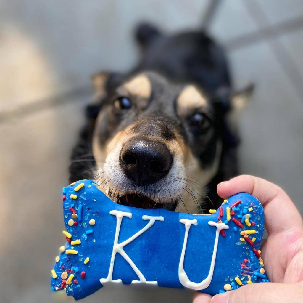 10 Years Strong | Lucky Biscuit Treat Lucky Biscuit Pet Bakery 
