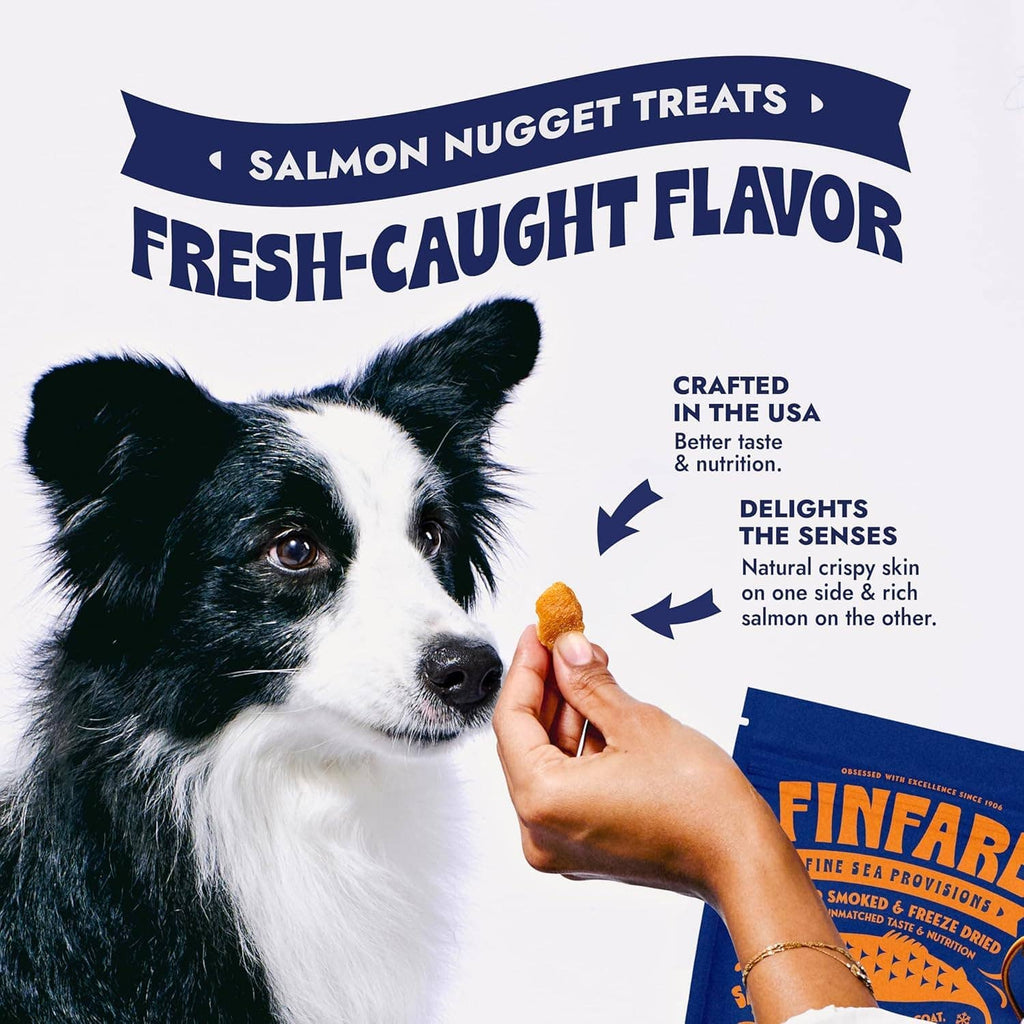 Freeze-Dried Salmon Nuggets | Finfare Finfare Pet Foods 