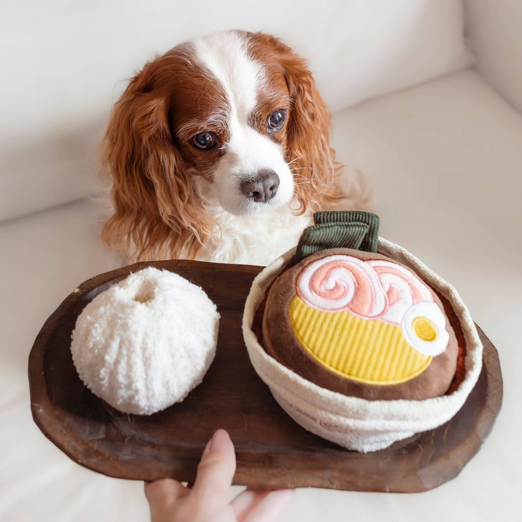 RAMEN DOG TOY | Lambwolf Collective Dog Toys Lambwolf Collective 