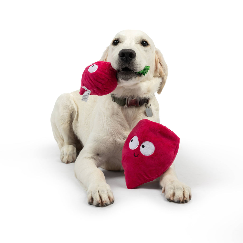 Huxley & Kent | Beet: Small Toy Huxley & Kent 