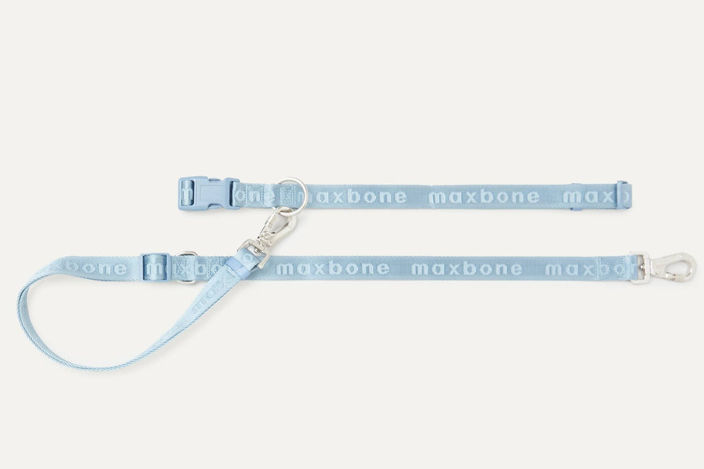 Mini GO! Hands-Free Leash: Black maxbone 