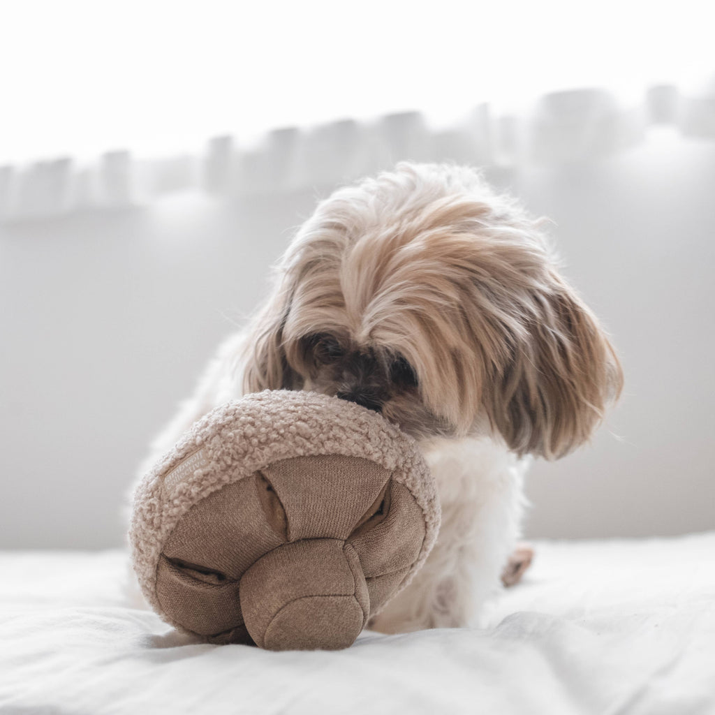 MUSHROOM DOG TOY | Lambwolf Collective Dog Toys Lambwolf Collective 