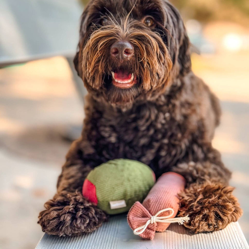 Olive + SALAMI | Lambwolf Collective Dog Toys Lambwolf Collective 