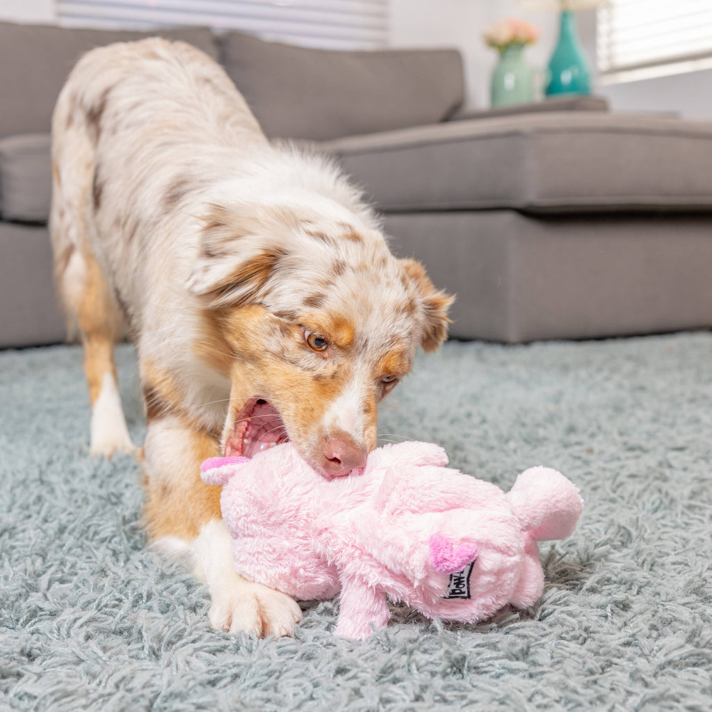 Piggie Smalls For Dogs: Small Huxley & Kent 