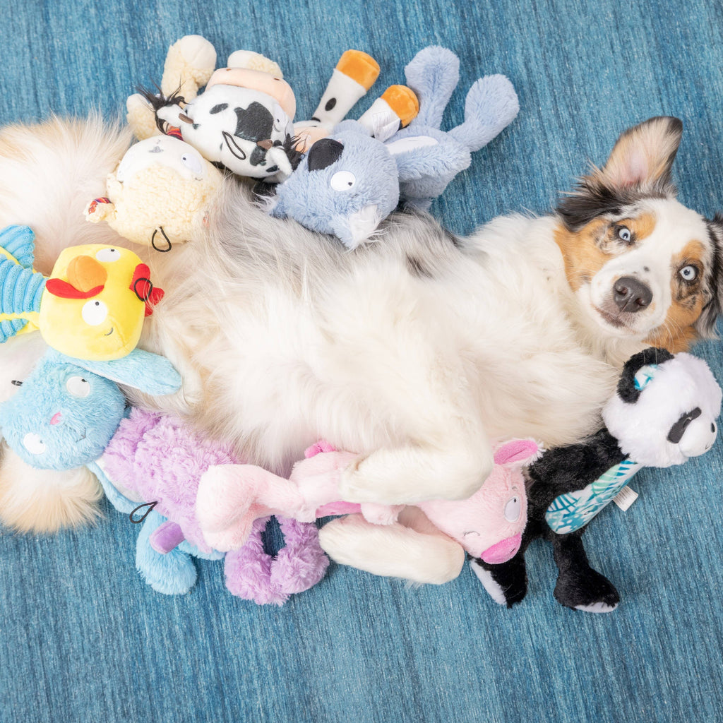 Piggie Smalls For Dogs: Small Huxley & Kent 