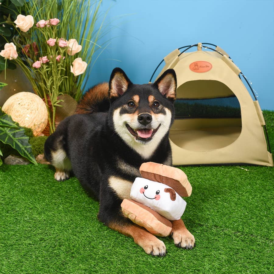 HugSmart | S’more Toy Hugsmart Products Inc 
