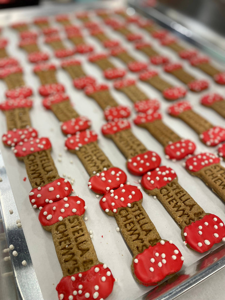 10 Years Strong | Lucky Biscuit Treat Lucky Biscuit Pet Bakery 