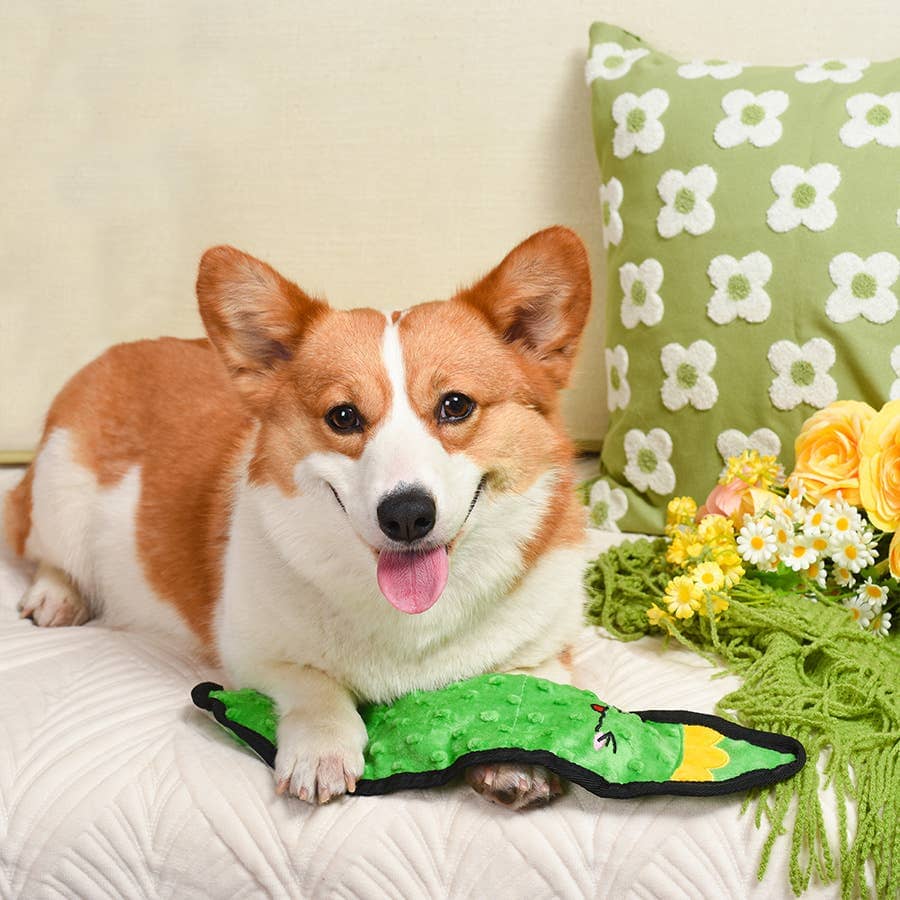 HugSmart | Pickle Toy Hugsmart Products Inc 