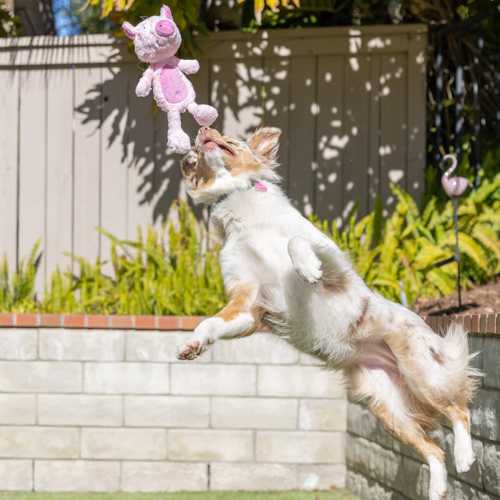 Piggie Smalls For Dogs: Small Huxley & Kent 
