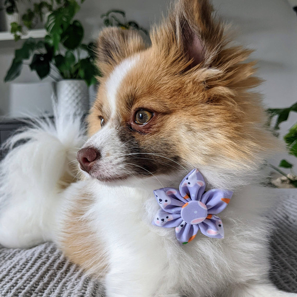 Huxley & Kent | Pinwheel Purple: Small Toy Huxley & Kent 