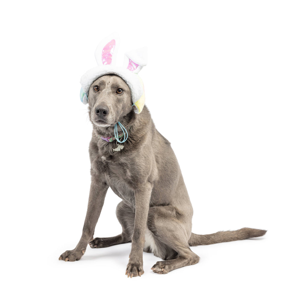 Huxley & Kent | Bunny Ears Hat Toy Huxley & Kent 