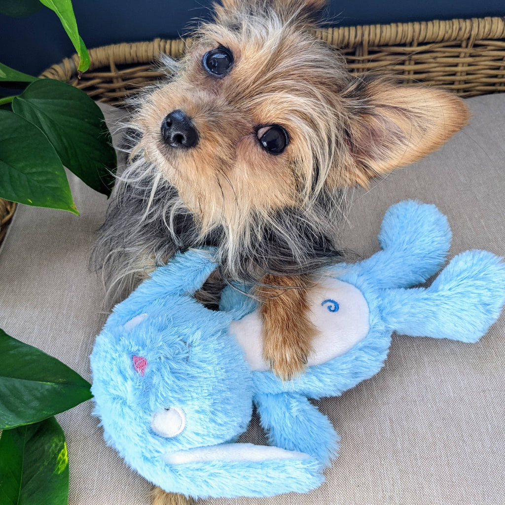 Huxley & Kent | Blue Bunny: Large Toy Huxley & Kent 