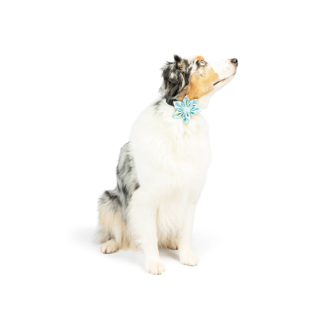 Huxley & Kent | Pinwheel Blue: Small Toy Huxley & Kent 