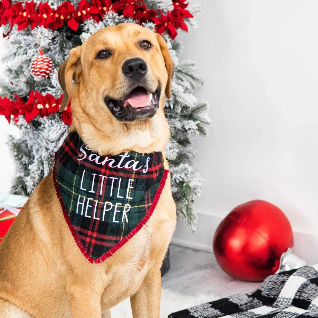 Christmas | Dog Bandana Co. Dog Bandana Co. 