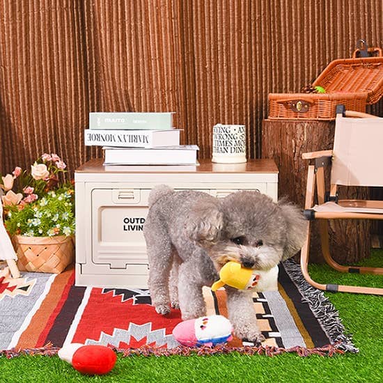 HugSmart | Garden Gnomes Toy Hugsmart Products Inc 