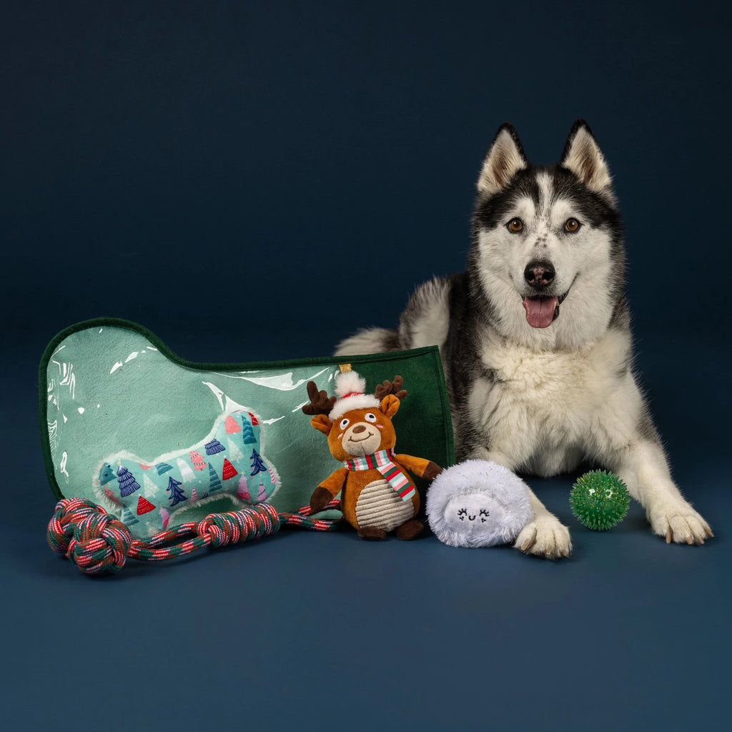 Happy Pawlidays Stocking | Fringe Dog Toys Petshop by Fringe Studio 