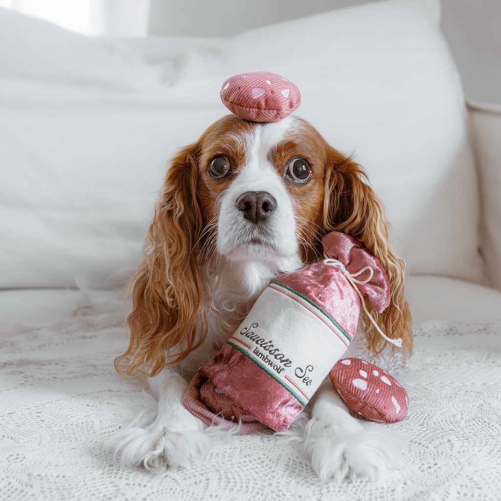 SAUCISSON DOG TOY | Lambwolf Collective Dog Toys Lambwolf Collective 