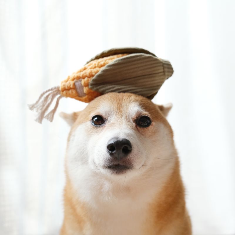 CORN DOG TOY | Lambwolf Collective Dog Toys Lambwolf Collective 