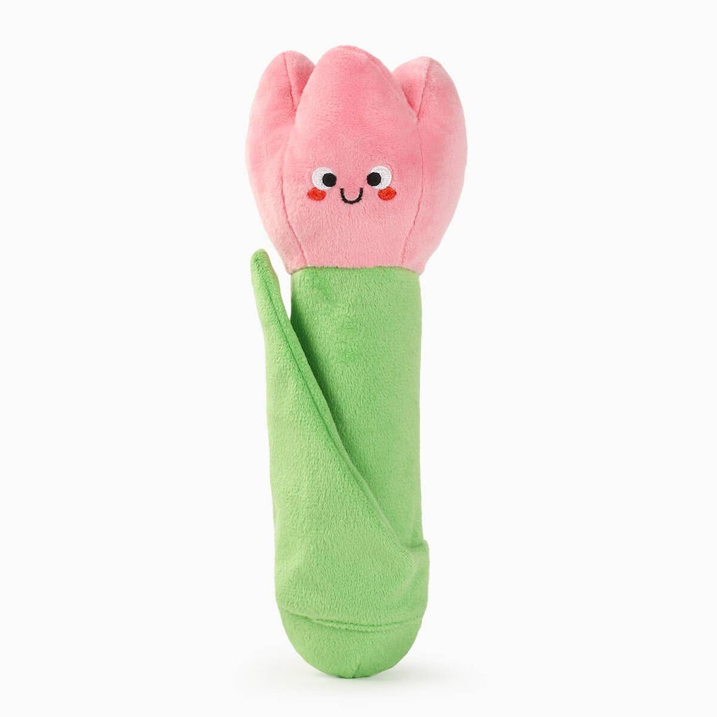HugSmart | Tulip Toy Hugsmart Products Inc 