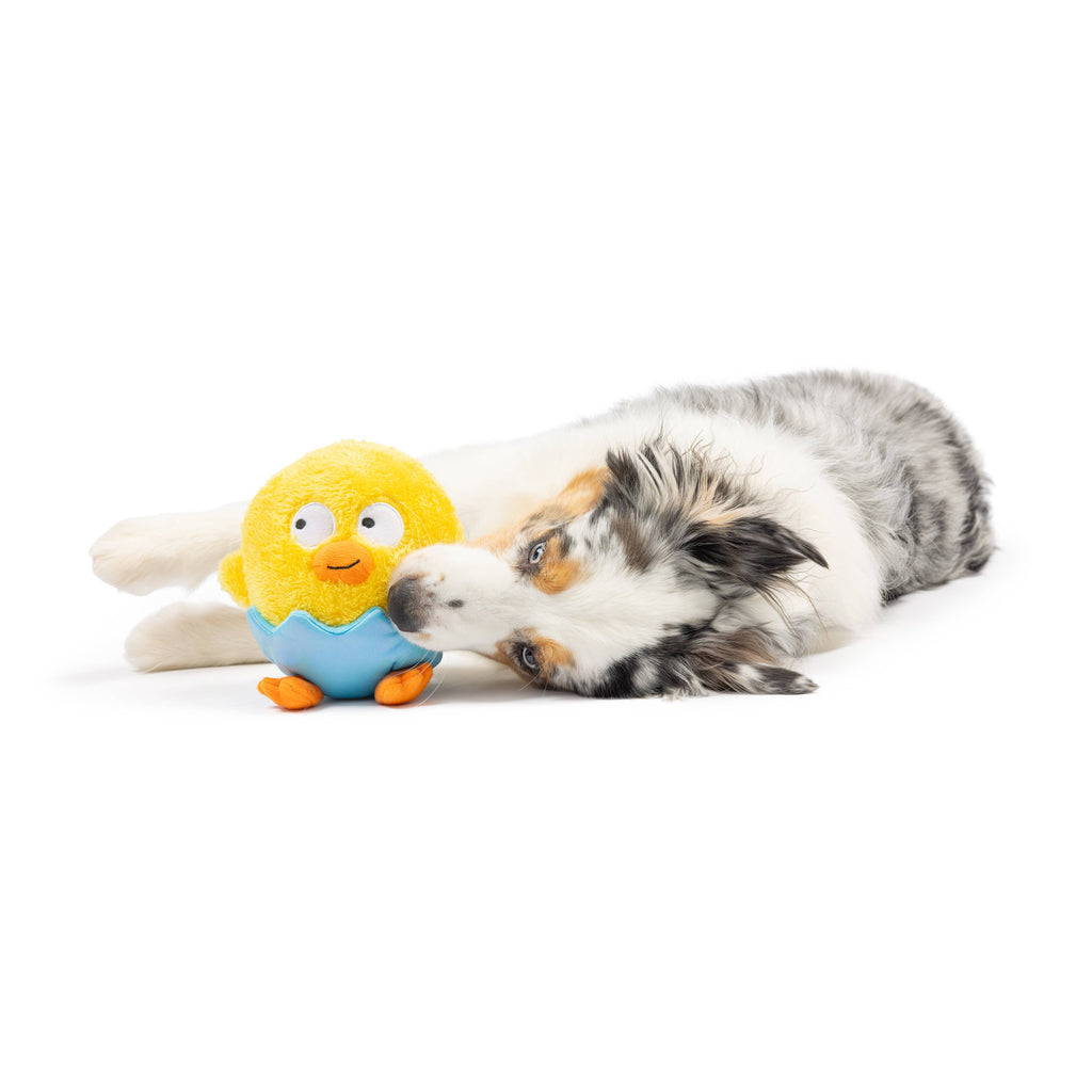 Huxley & Kent | Chick-A-Dee Dog Toy: Sm Toy Huxley & Kent 