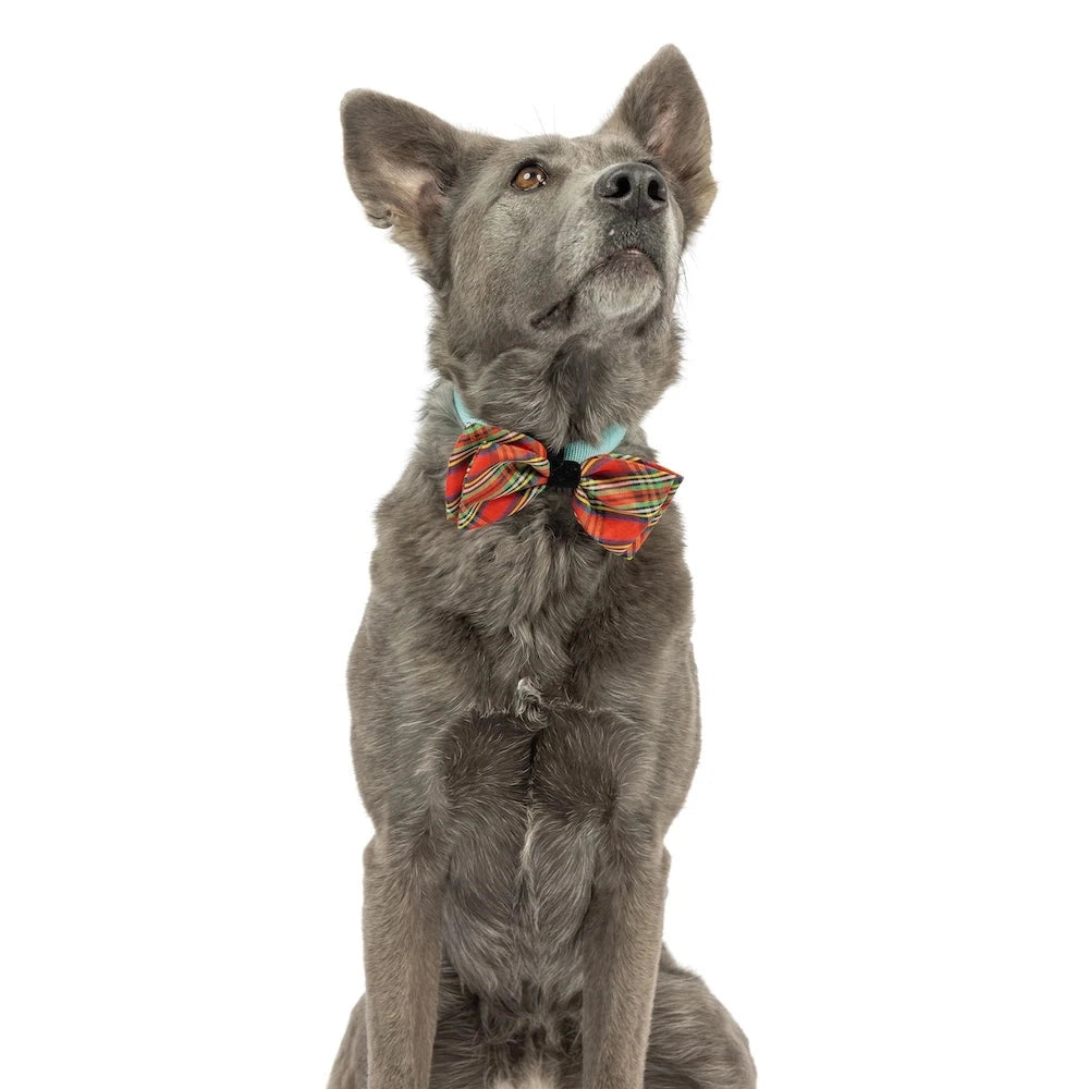 Red Christmas Plaid Bow Tie | Huxley & Kent Clothing Huxley & Kent 