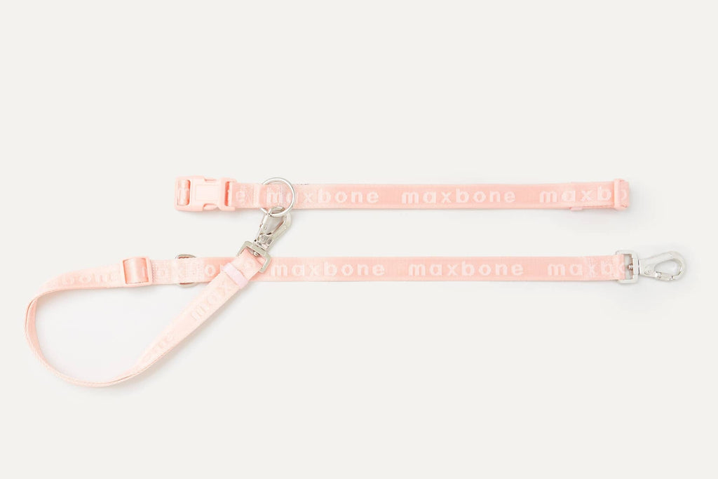 Mini GO! Hands-Free Leash: Black maxbone 