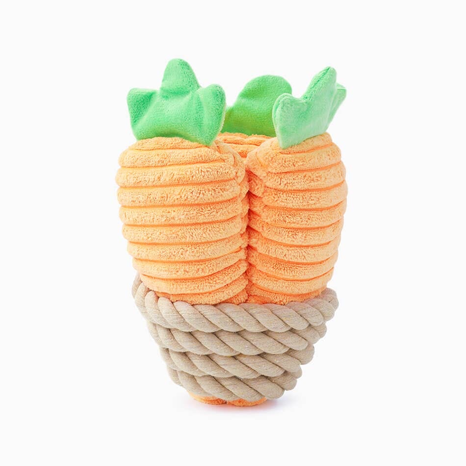 HugSmart | Carrot Bunch Toy Hugsmart Products Inc 