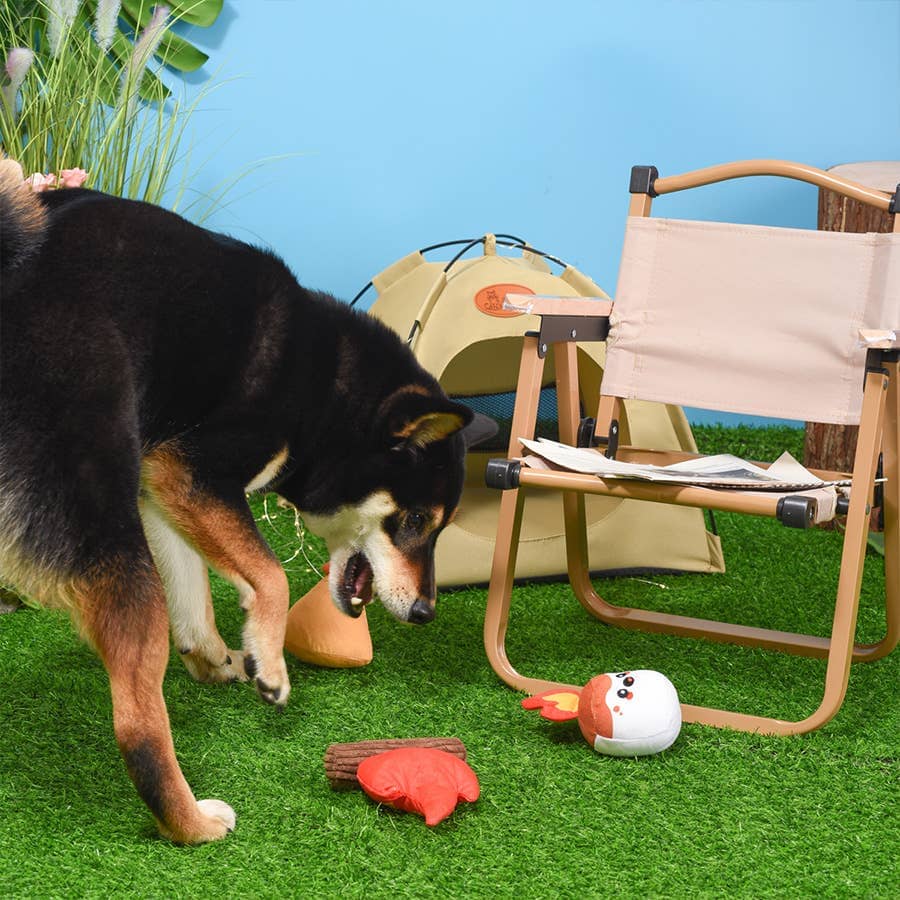 HugSmart | Camp Hound Toy Hugsmart Products Inc 