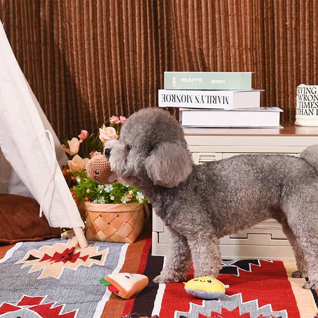 HugSmart | Yappy Yum Toy Hugsmart Products Inc 