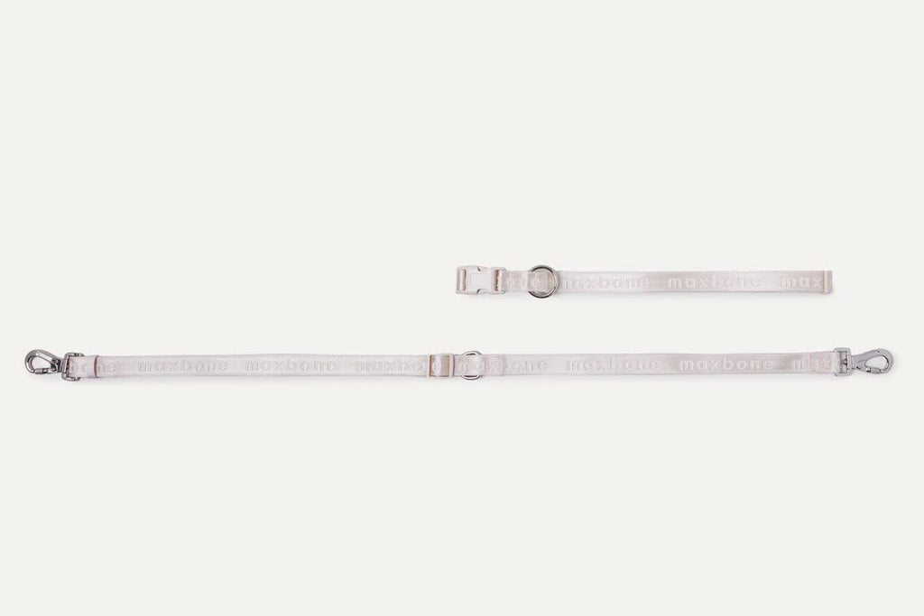Mini GO! Hands-Free Leash: Black maxbone 