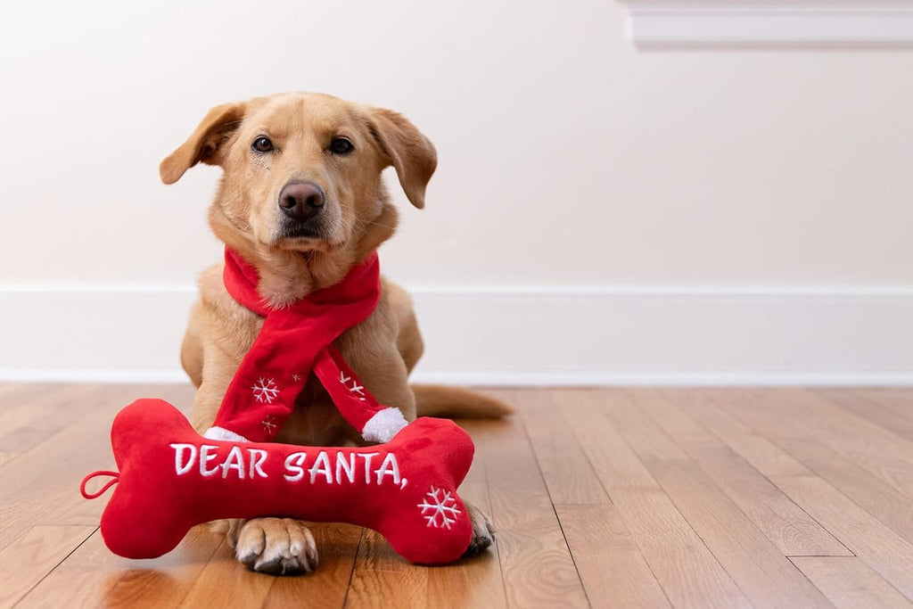 Dear Santa We good? | Huxley & Kent Dog Toys Huxley & Kent 