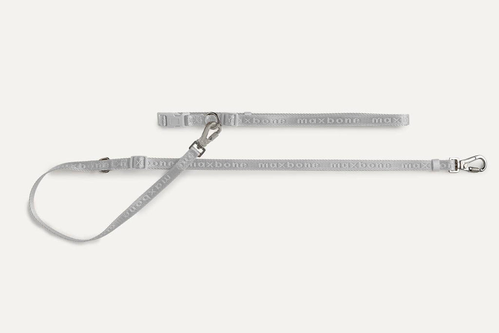 Mini GO! Hands-Free Leash: Black maxbone 