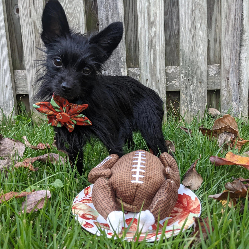 Turkey Football | Huxley & Kent Toy Huxley & Kent 