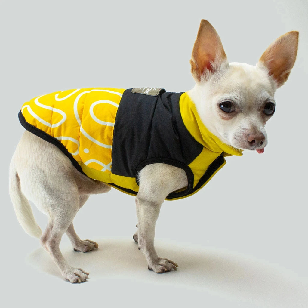 Sunny Side Up Puffer | Houndstone Max & Bone SM 