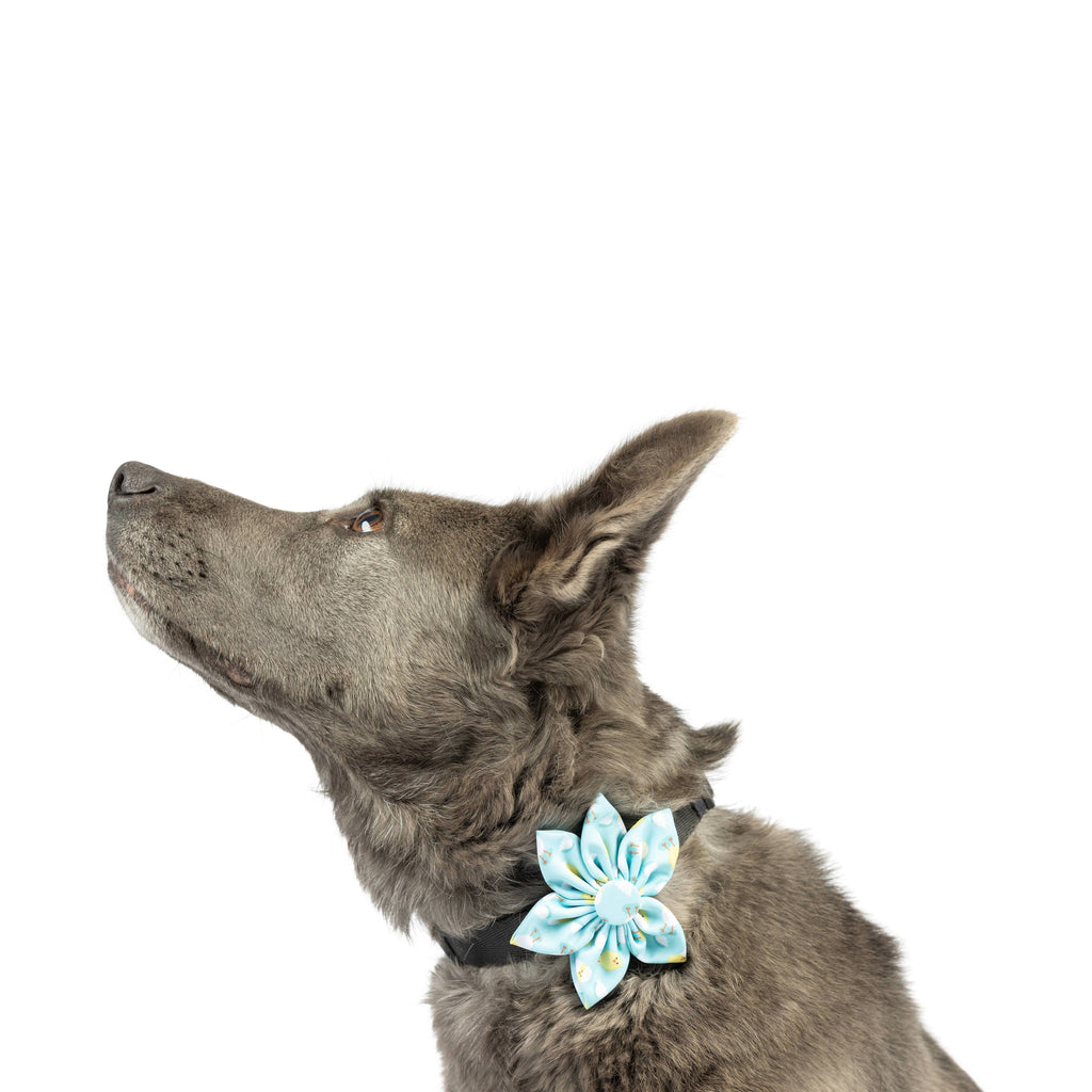 Huxley & Kent | Pinwheel Blue: Small Toy Huxley & Kent 