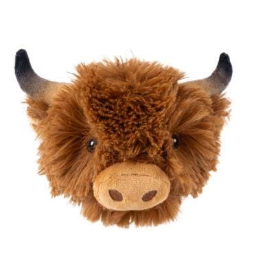 Cow Head | Tall Tails Tall Tails 