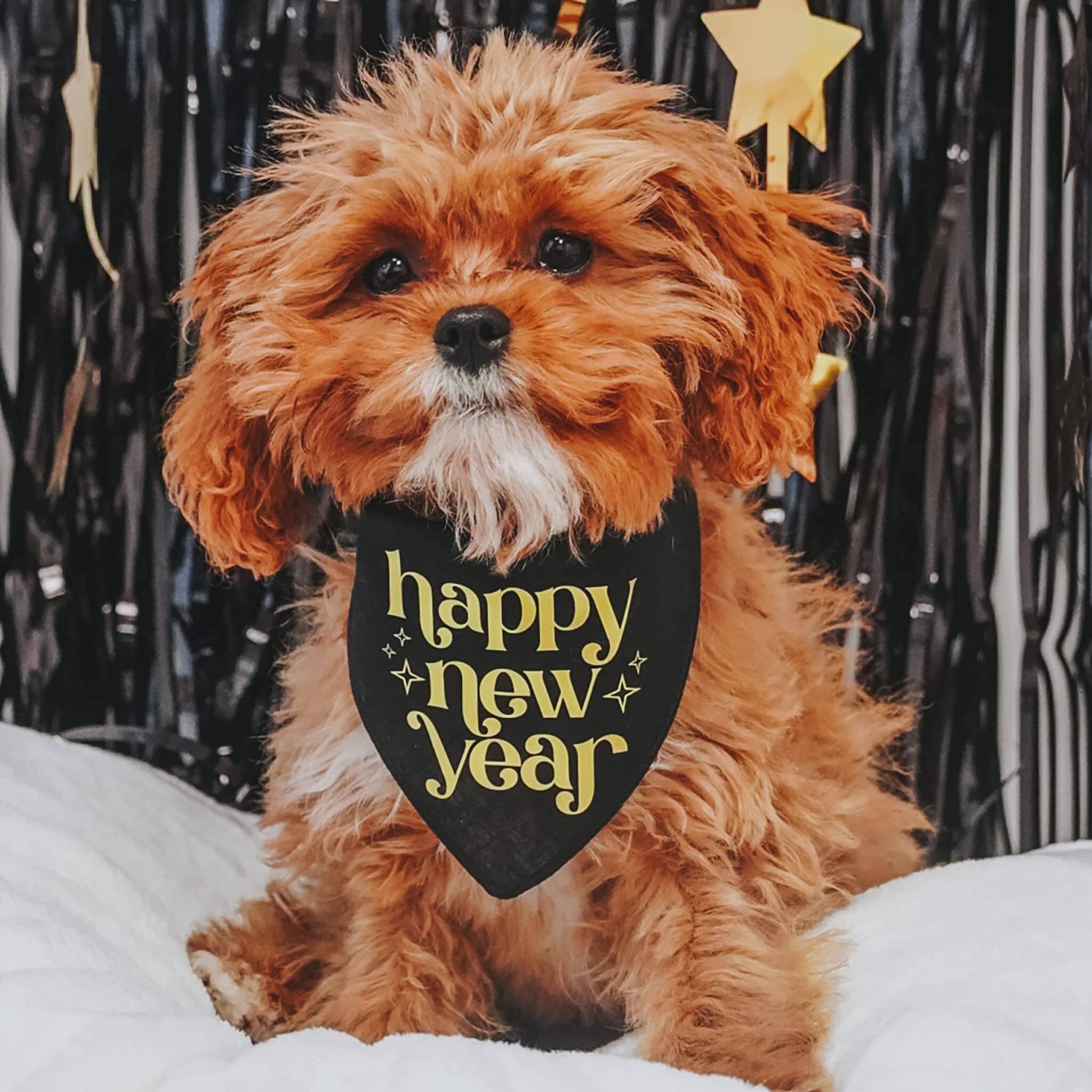 Bandana Collar New Years Dog Bandana Cute Dog Happy New Year Puppy