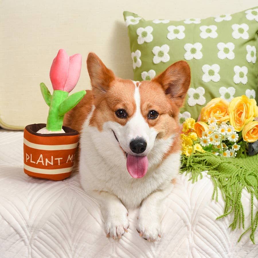 HugSmart | Tulip in Pot Toy Hugsmart Products Inc 