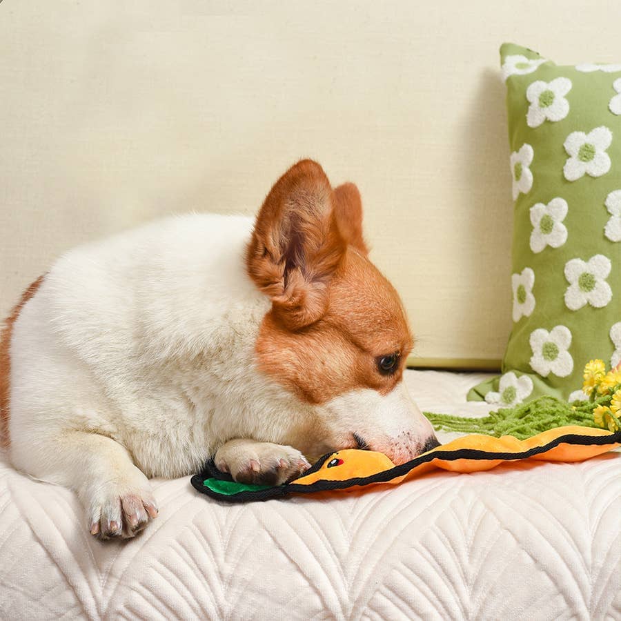 HugSmart | Carrot Toy Hugsmart Products Inc 