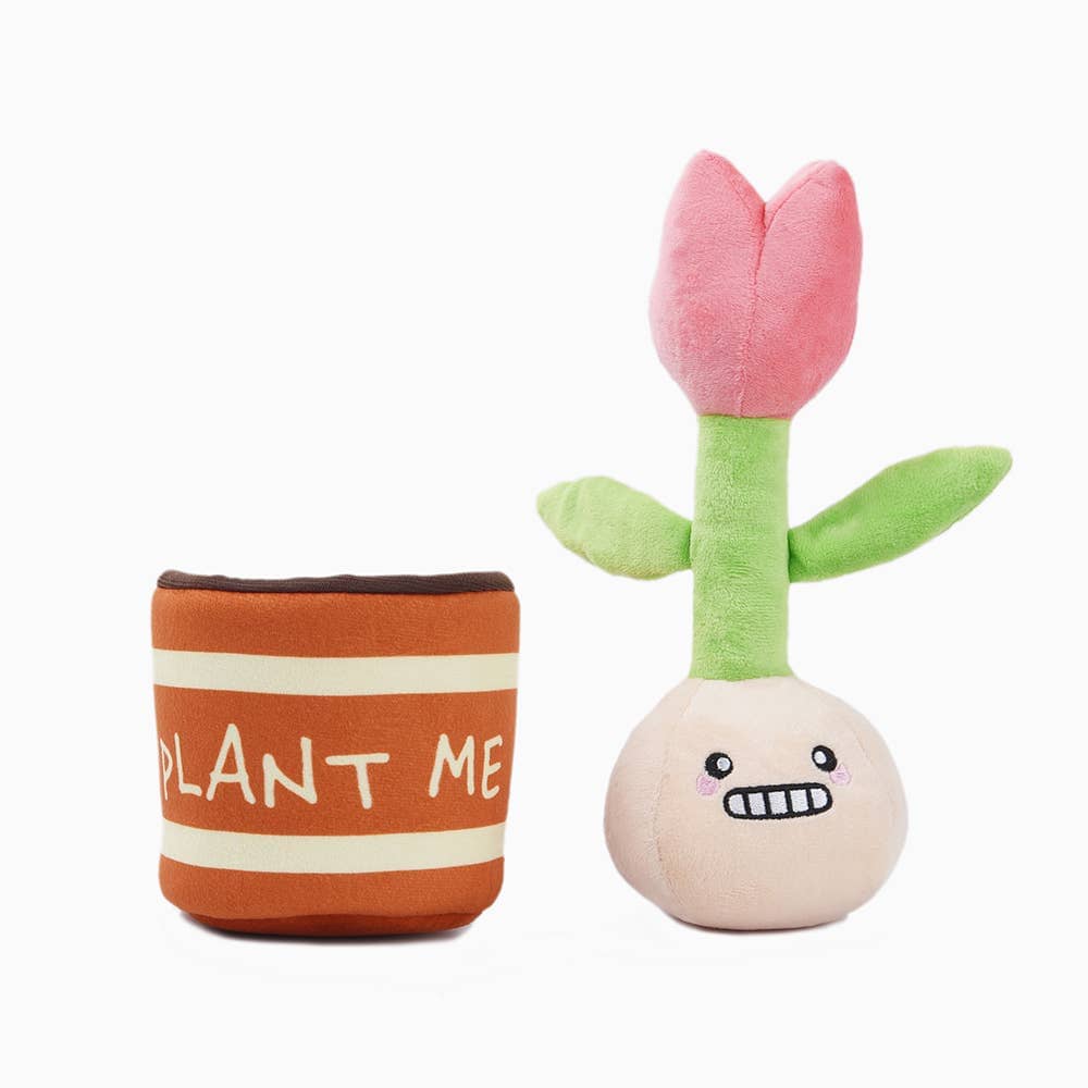 HugSmart | Tulip in Pot Toy Hugsmart Products Inc 