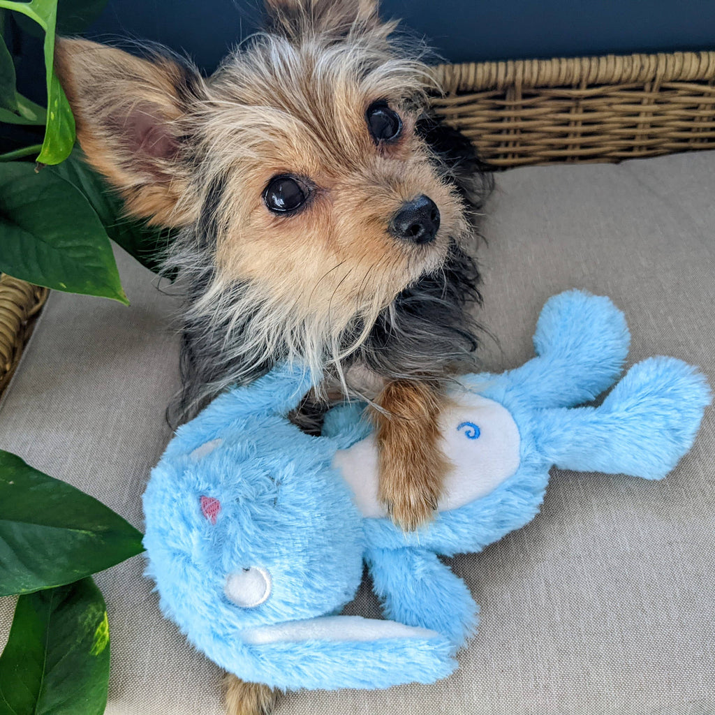 Huxley & Kent | Blue Bunny: Large Toy Huxley & Kent 